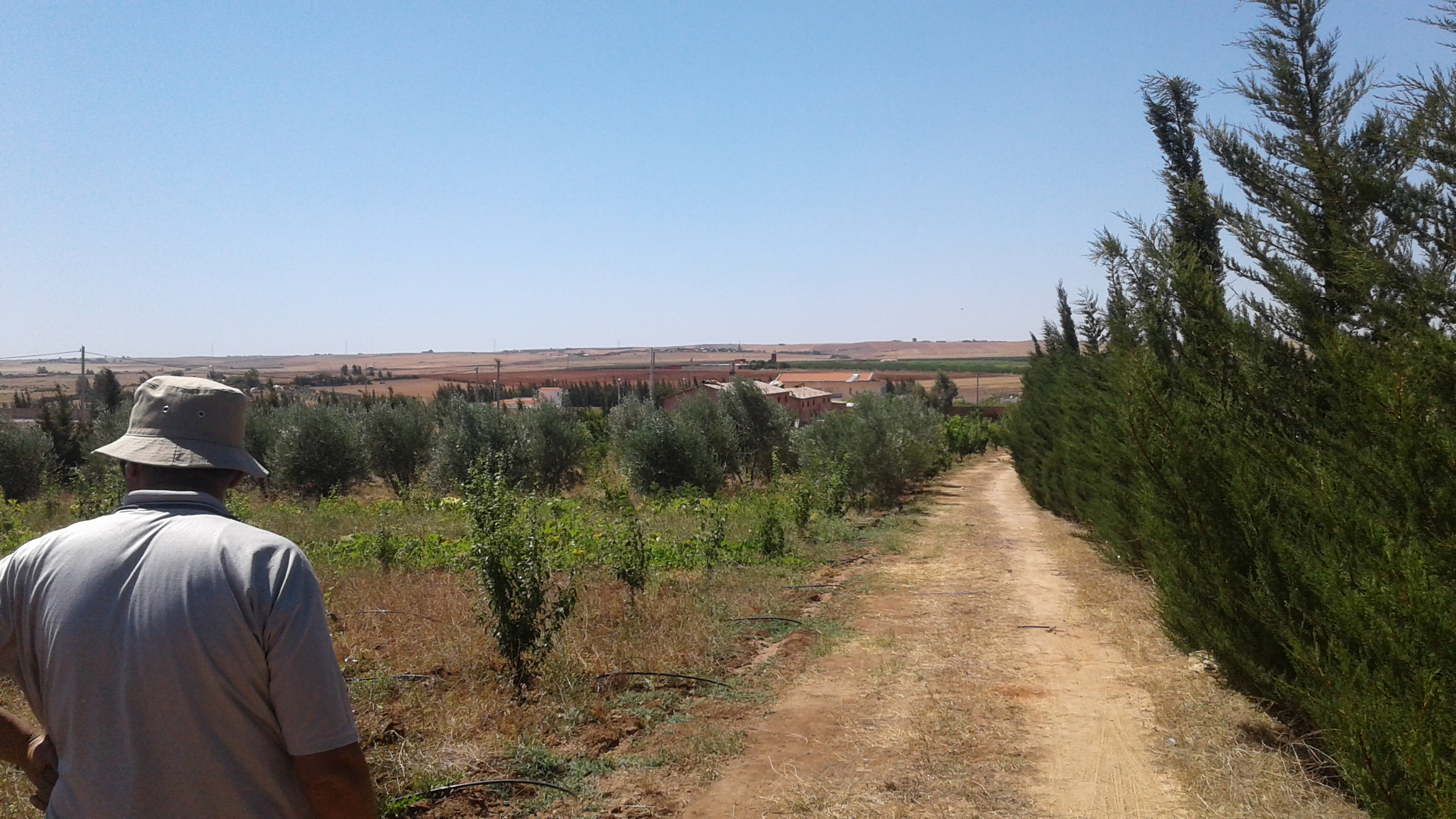 Jolie ferme a vendre de 2 hectares