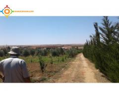 Jolie ferme a vendre de 2 hectares