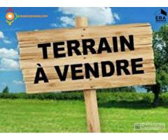 Vente Lots de terrain d’1 Ha (10 000 m2)