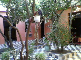 vente riad