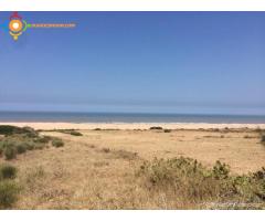 Terrain à vendre de 10.5 hectares;sur le rivage de la plage