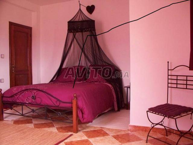 appartement  location cabo negro