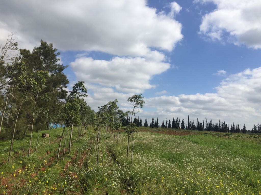 Jolie ferme à vendre de 2 hectare