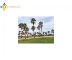 appartement sidi rahal plage