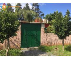 Jolie ferme à vendre de 1.5 hectare