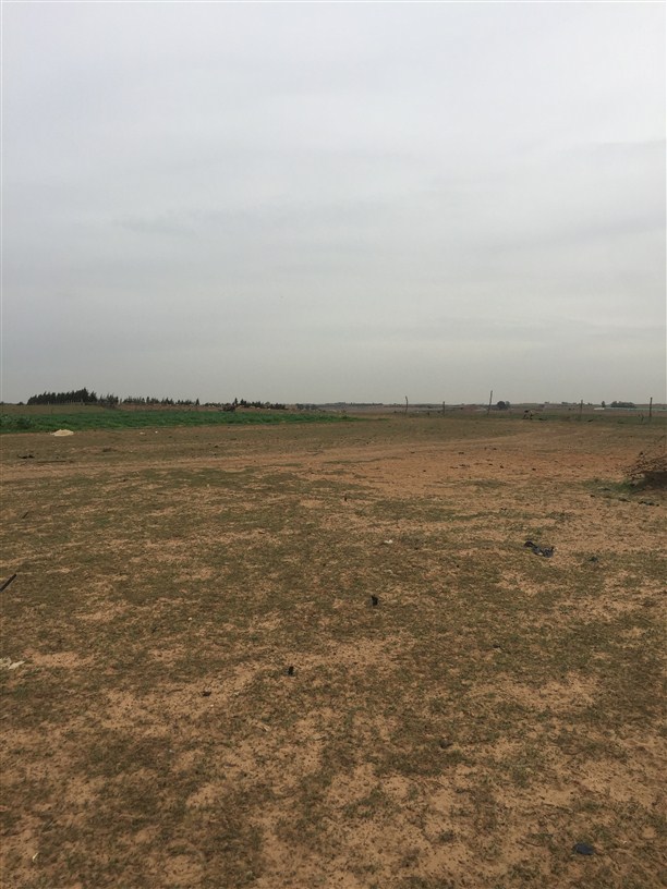 terrain agricole de 1 ha a vendre 60 min de rabat