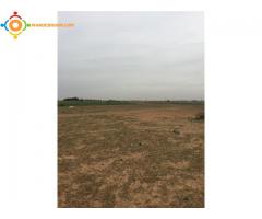 terrain agricole de 1 ha a vendre 60 min de rabat