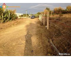 terrain de 350-m² a tanger