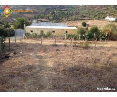 terrain de 350-m² a tanger