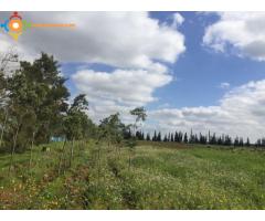 Jolie ferme à vendre de 2 hectares