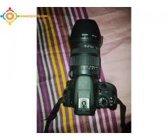 canon 100D