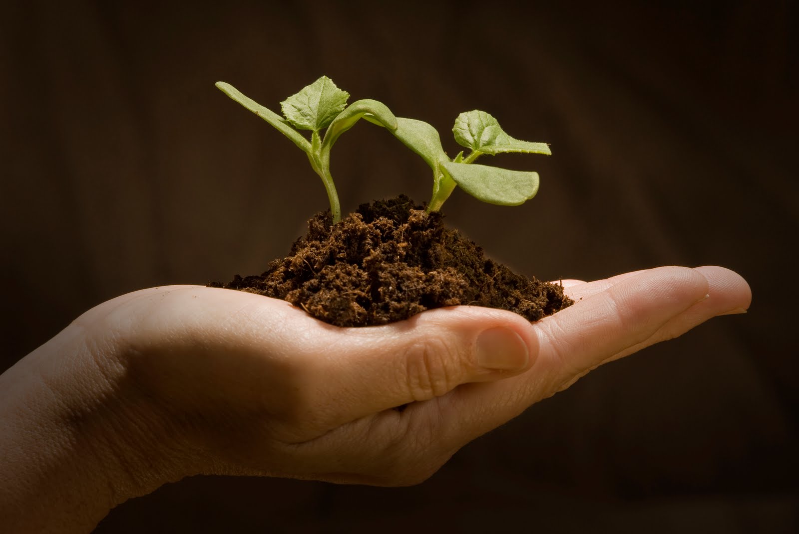 La solution idéale pour la création, l'accompagnement et le suivi de votre entreprise