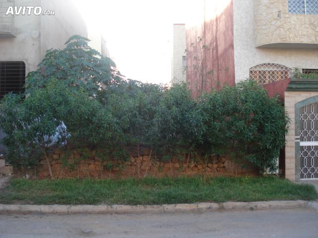 Terrain de 201 m2 pour villa a' ISLANE  ( Casablanca)