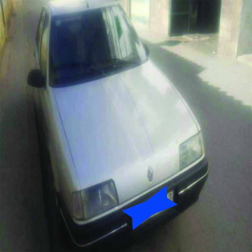 Renault 19