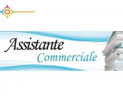 commercial sur terrain