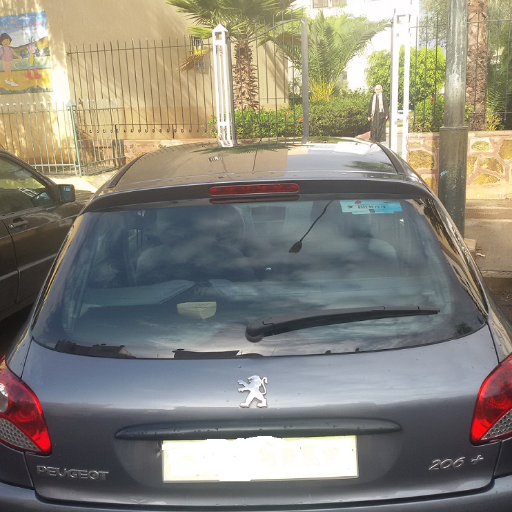 vend peugeot 206+