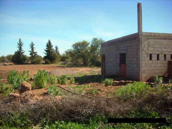 FERME PRES DE MARRAKECH