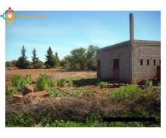 FERME PRES DE MARRAKECH