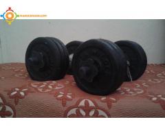 alteres musculation