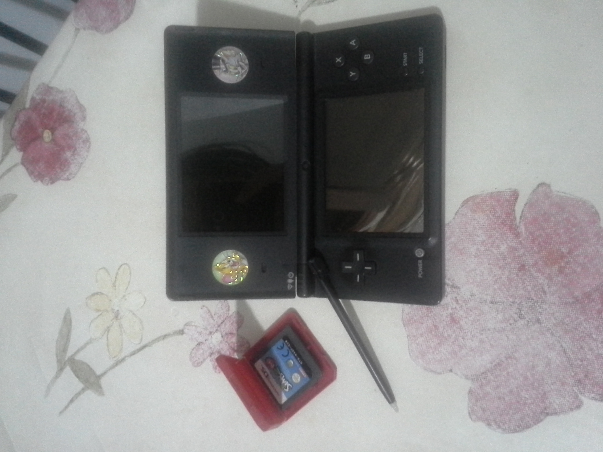 Nintendo ds