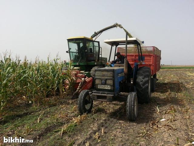 LIQUIDATION D'UNE EXPLOITATION AGRICOLE -  TERRAINS TITRES au MAROC