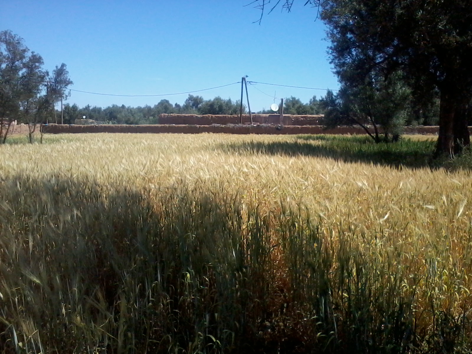 Terrain de 673 m² Tizfrite. Amezmiz