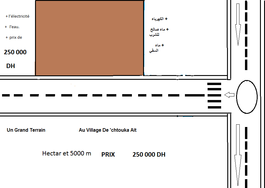 Terrain de Hectares et 5000 m2 Agadir