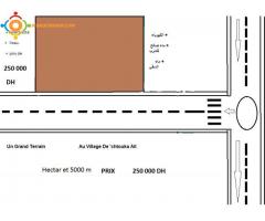 Terrain de Hectares et 5000 m2 Agadir