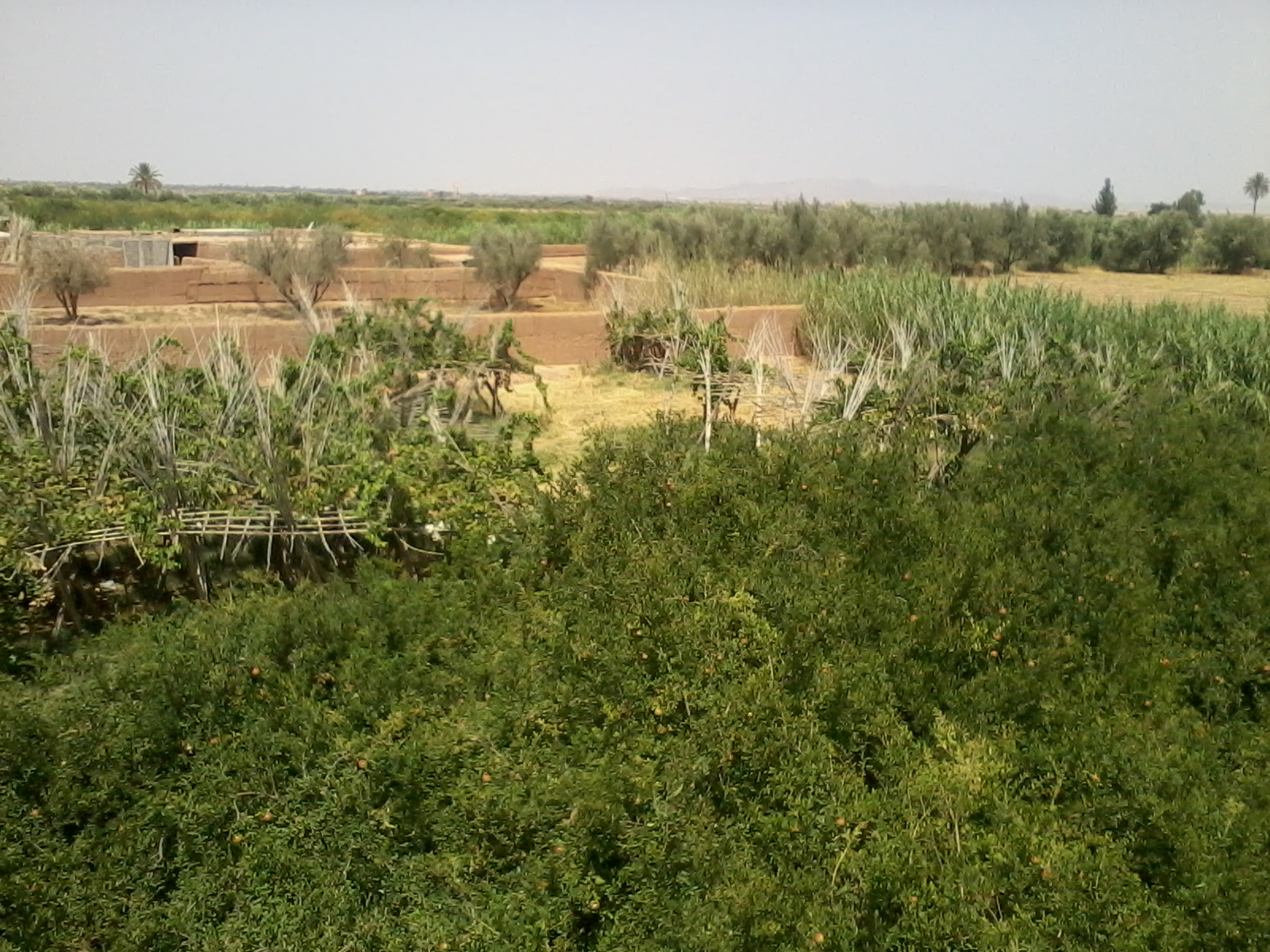 Ferme à la route de Fés-Marrakech