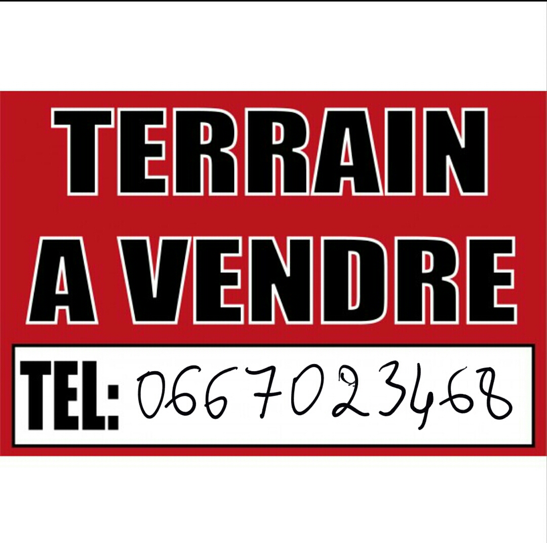 Terrain 216 m2 route ain smen ( R+4 )