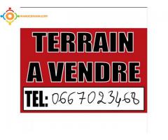 Terrain 216 m2 route ain smen ( R+4 )