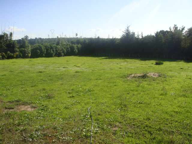 Avendre terrain constructible de 5900 m² à AIN ETTIG