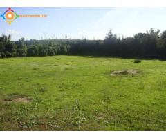 Avendre terrain constructible de 5900 m² à AIN ETTIG