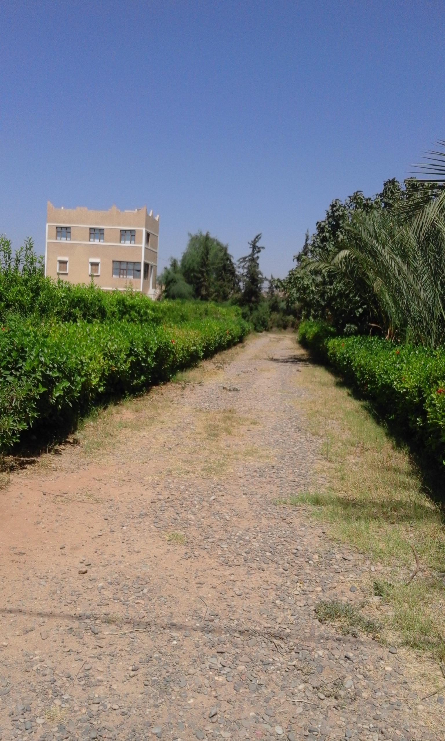 UNE FERME A VENDRE SURFACE 32500M2  TAROUDANT