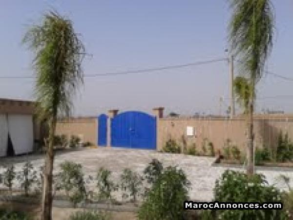 Villa 3000m² à 16km de Marrakech