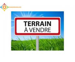 terrain a vendre