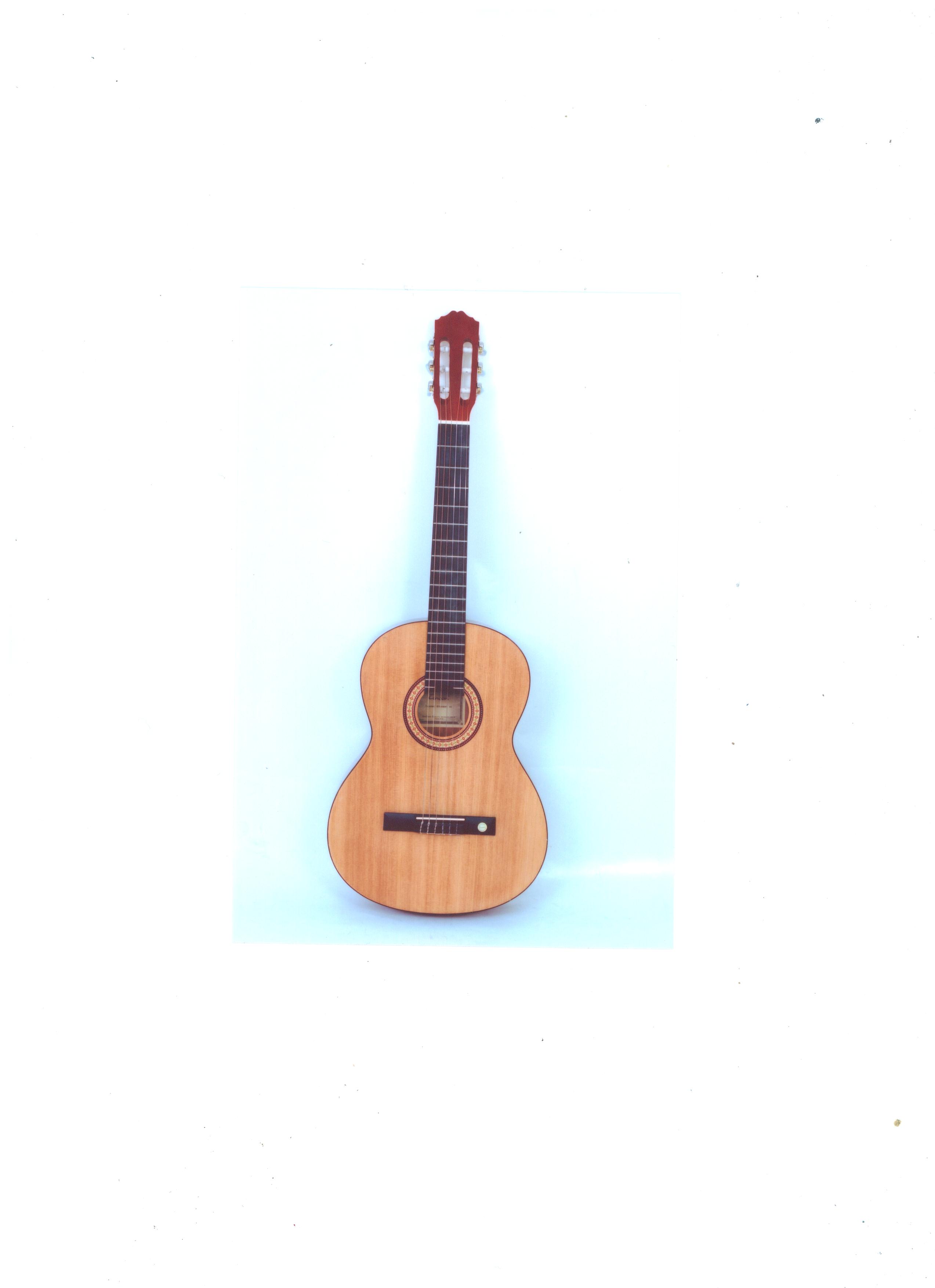 Guitare classique professionnelle neuve