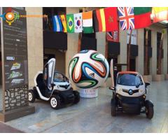 Location Twizy