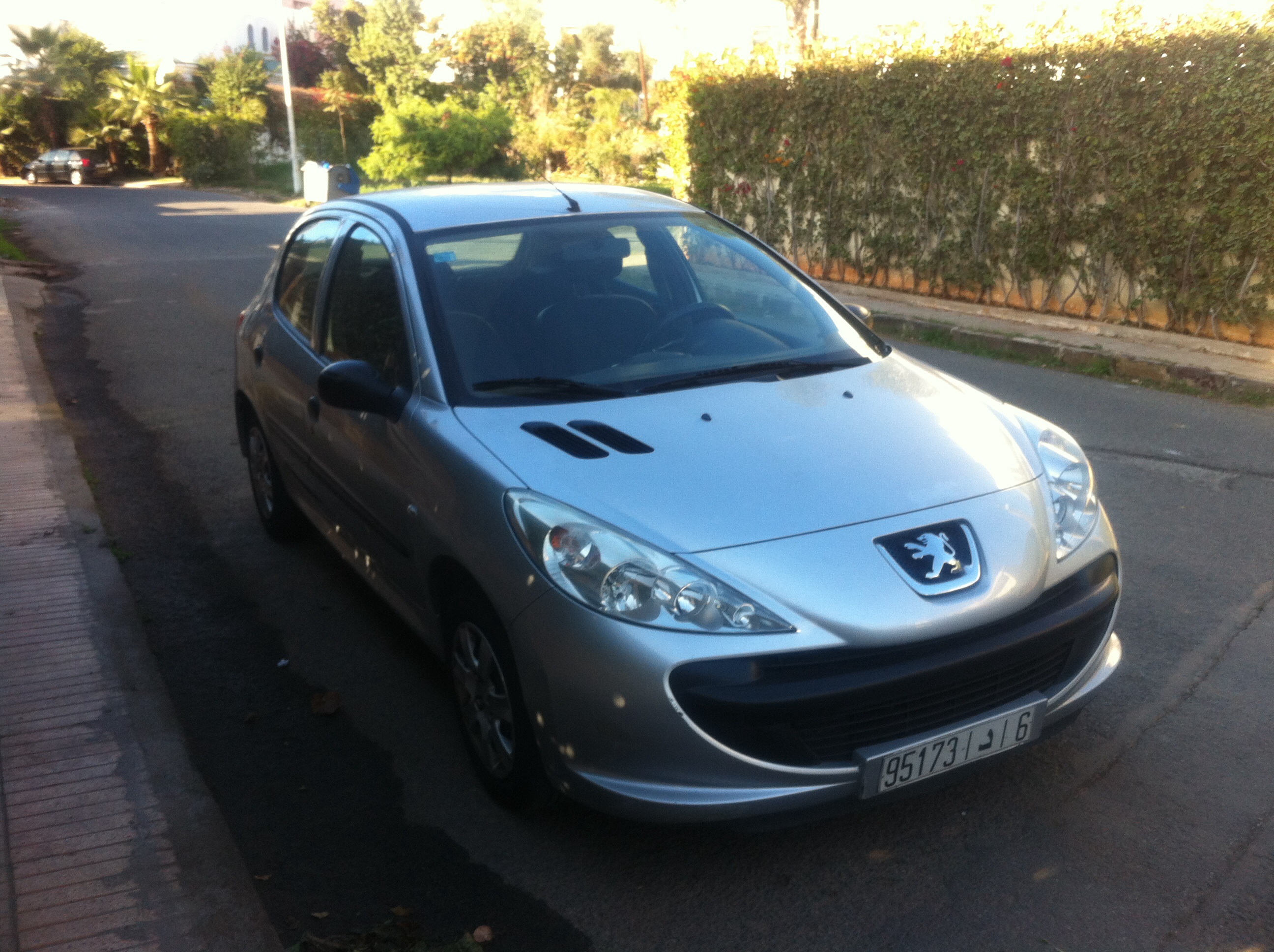 Vend Peugeot 206+