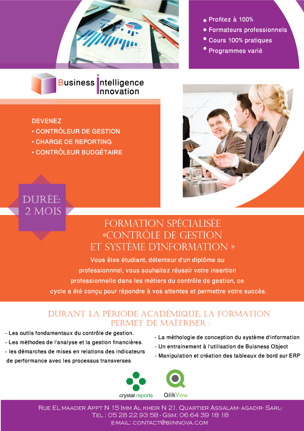 contrôle de gestion et système d'information