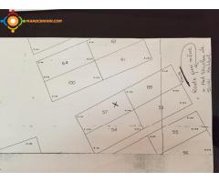 Terrain 1001 m2 à Sidi Rahal