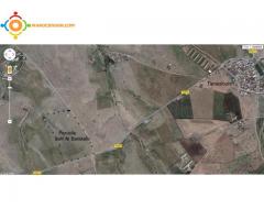 PARCELLE TITREE A TAMESLOUHT 10,58 ha A VENDRE