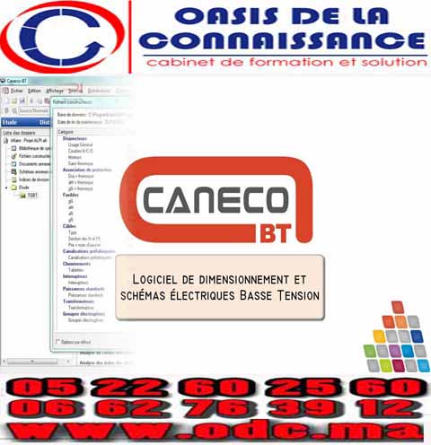 Formation accélérée en caneco autocad électrique