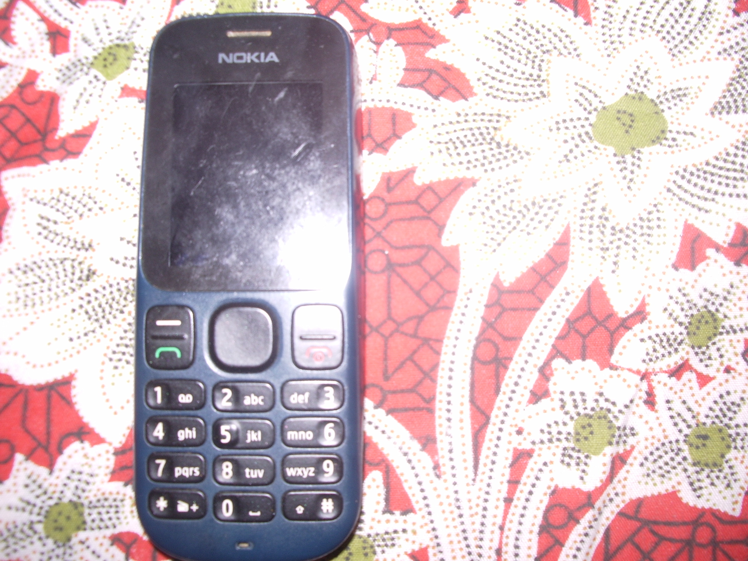 Nokia 100