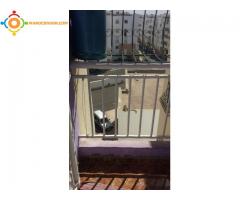 Appartement à vendre à hay salam agadir