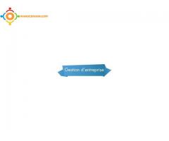 Formation Gestion d’entreprise