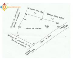 Terrain vide de 14419 m2