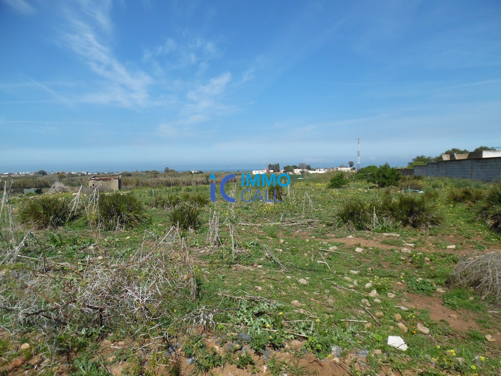 Terrain de 4900m² à vendre à Harhoura