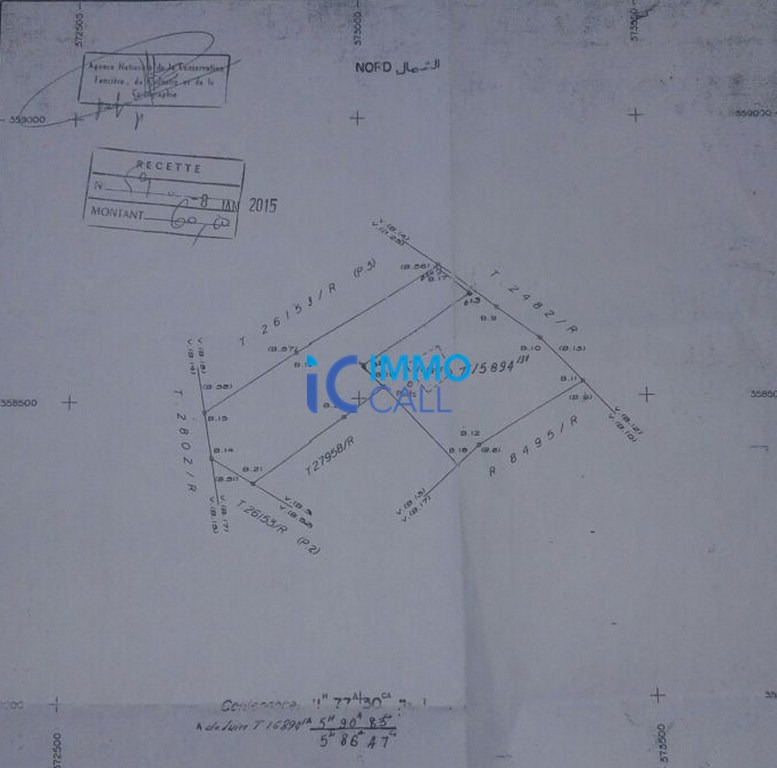 Terrain de 60000m² à vendre à Ain El Aouda