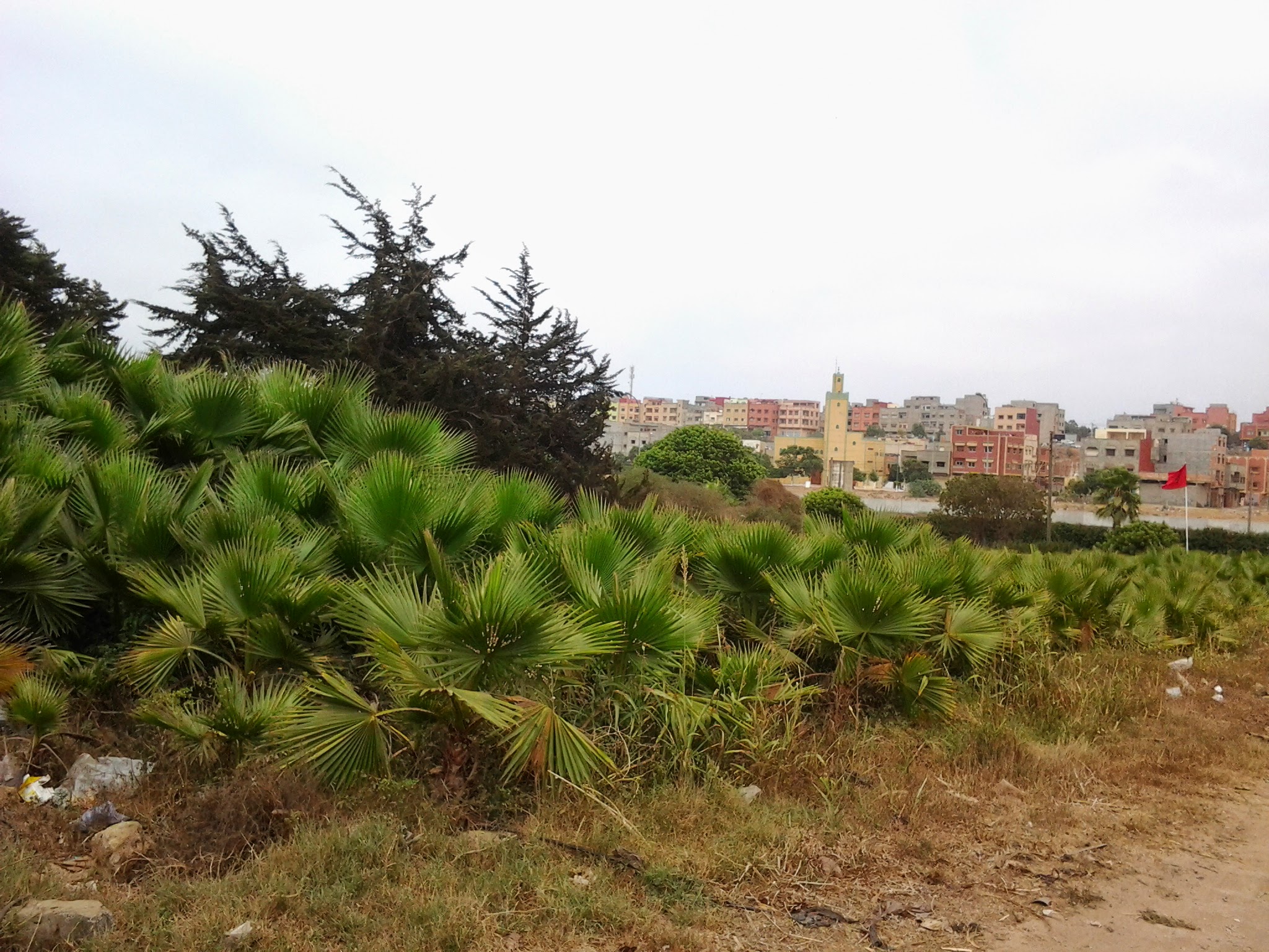 Vaste Terrain 903612 m2 à Salé Sidi Bouknadel